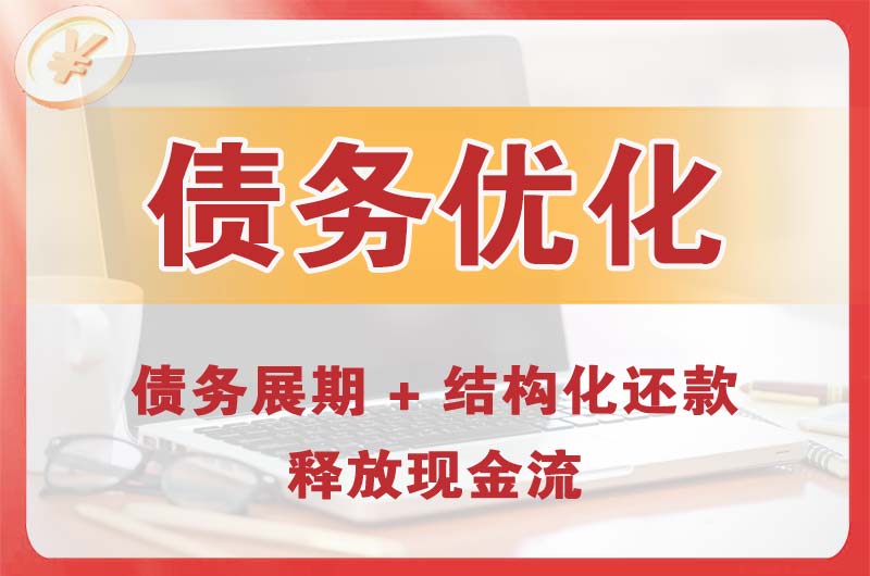 屏南债务优化
